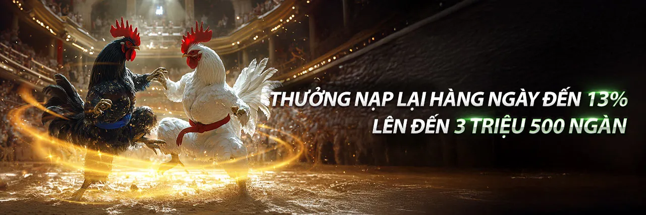 Đá Gà Trực Tuyến Hấp Dẫn tại ga65 thể thao